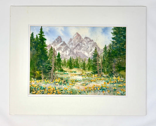 Fred Kingwill: Balsamroot Time