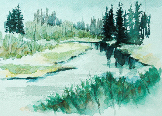 Susan Marsh: Schwabacher's Landing