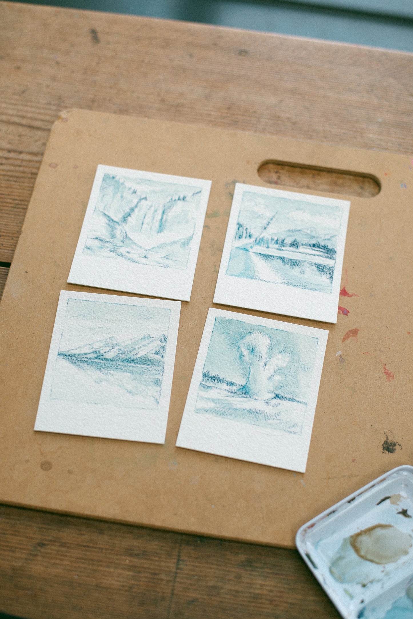 Grace Peck: Polaroid #2 (Hidden Falls)