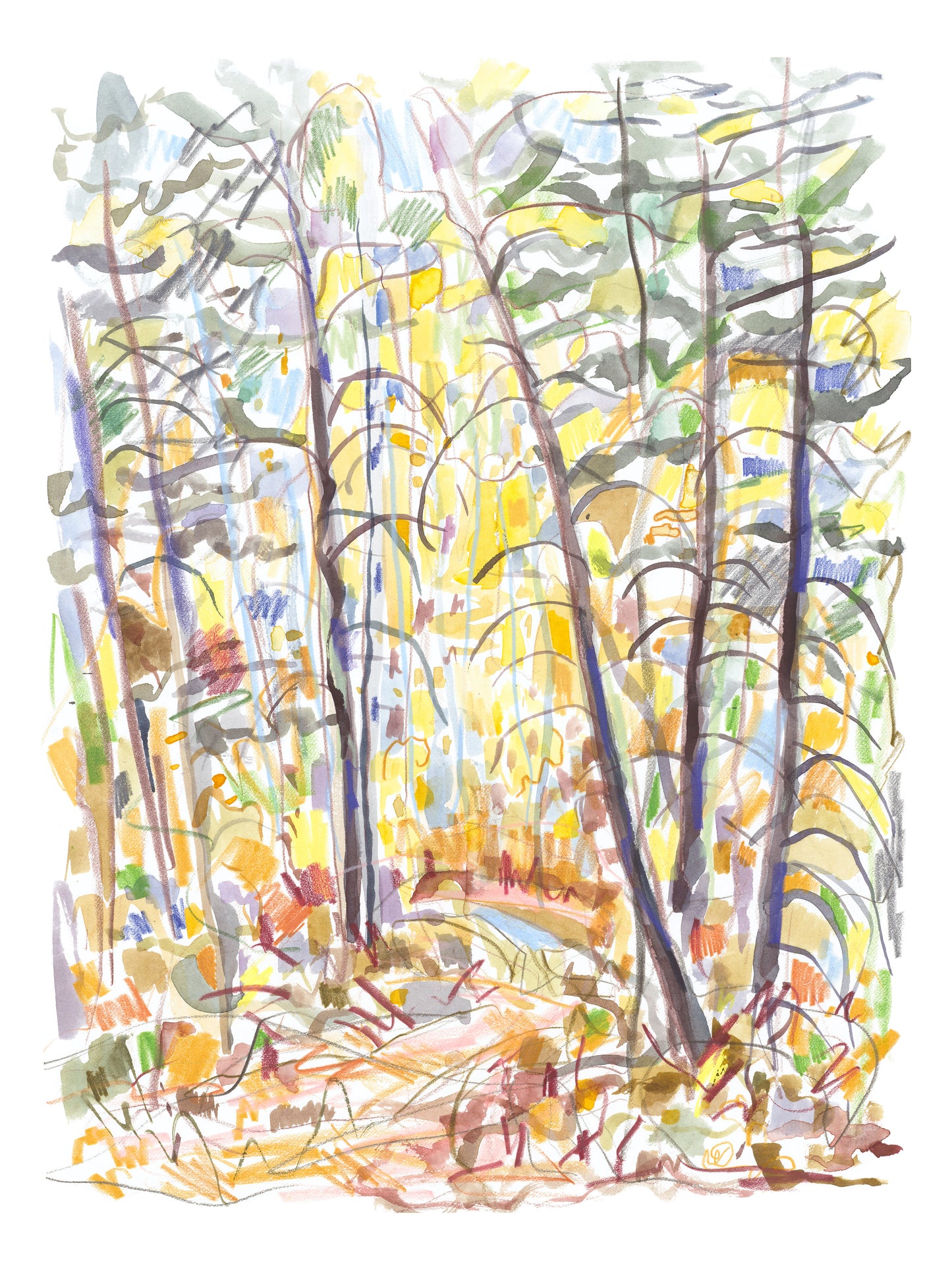 Francis Ambrose: Fall Canyon