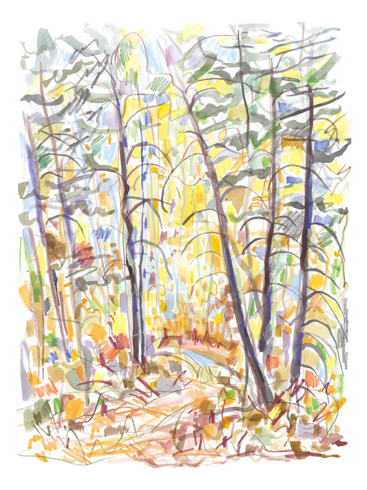 Francis Ambrose: Fall Canyon