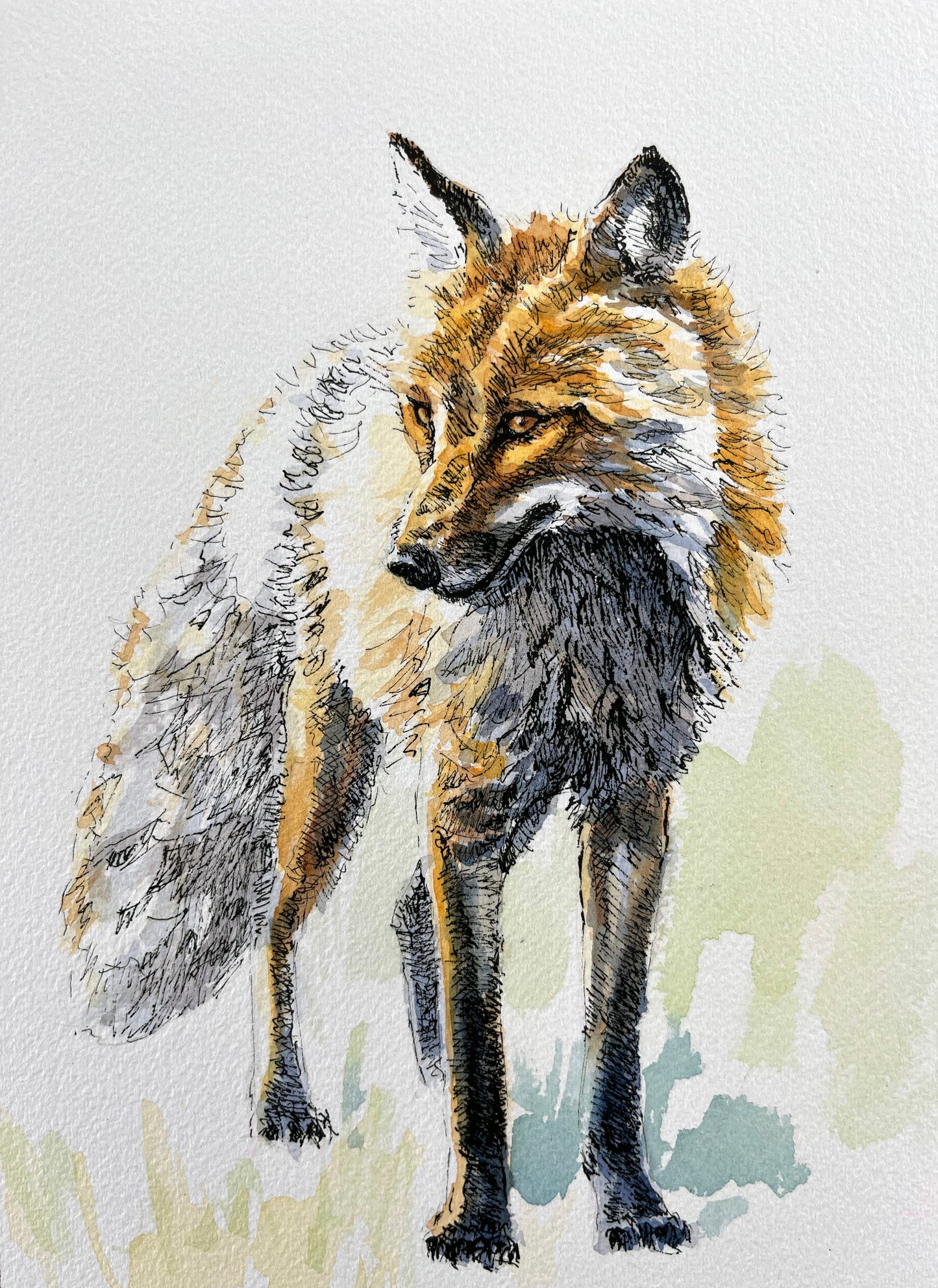 Andy Taylor: Fox