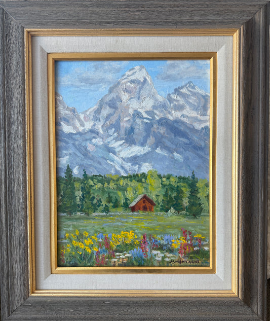 Matt Montagne: Early Summer In The Tetons