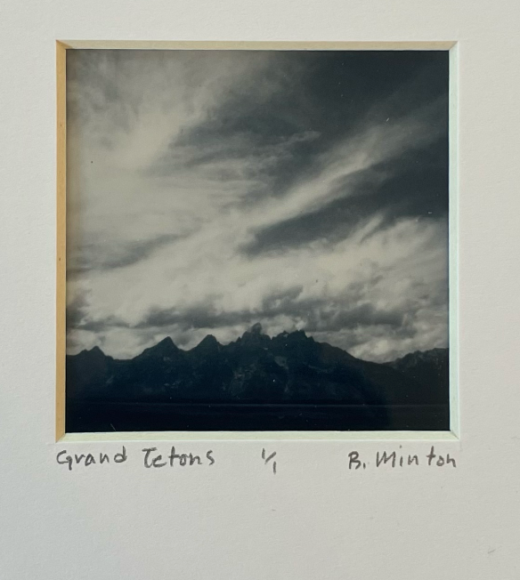 Bronwyn Minton: Polaroid