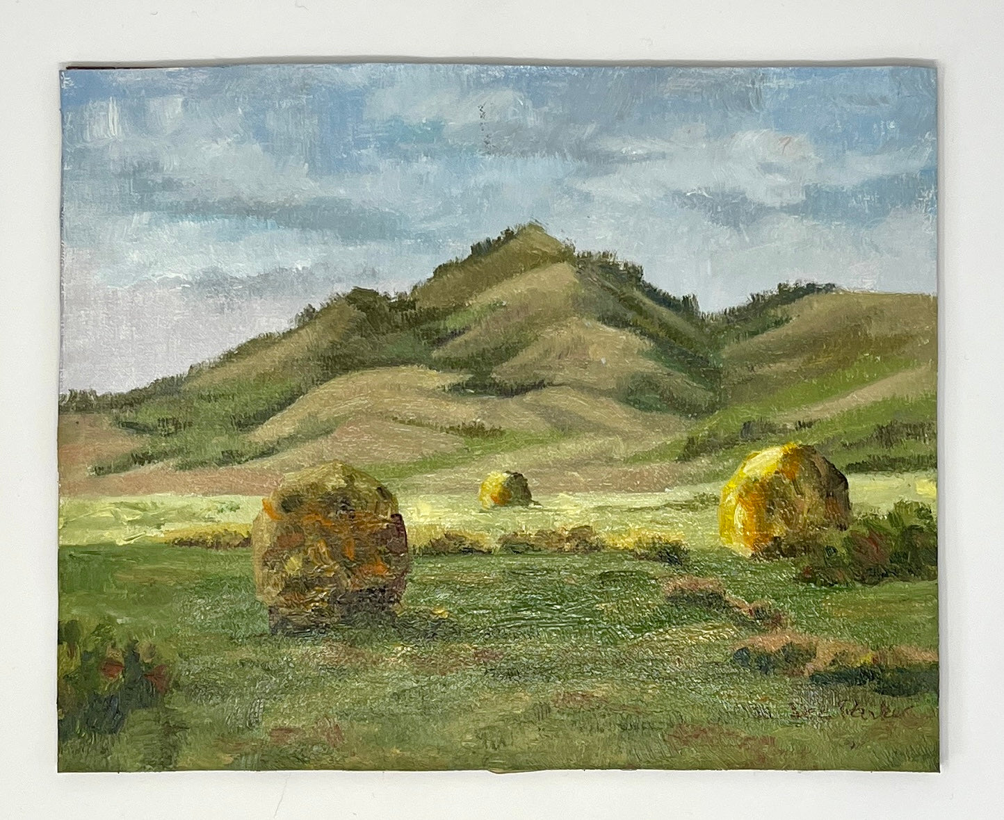 Dee Parker: Hay Loaves