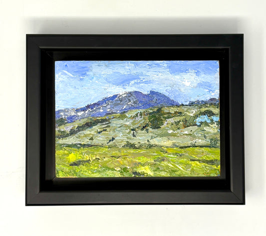 Richard Tambor: Sheep Mountain (Sleeping Indian)