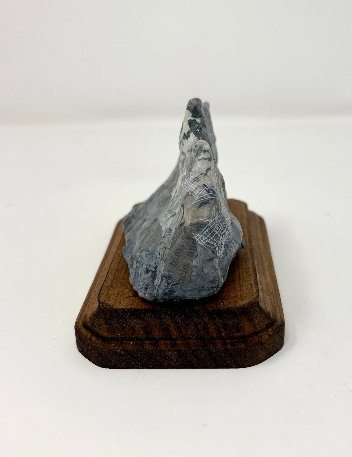 Nicole Tafoya: Tetons