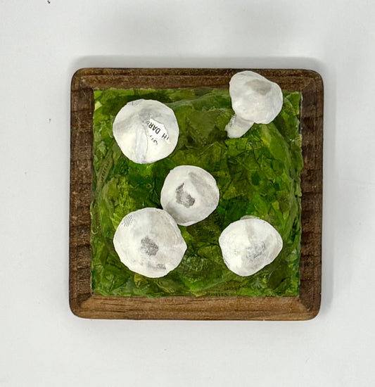 Nicole Tafoya: Mushroom Cluster Desk Piece