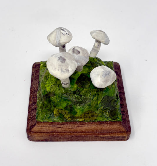 Nicole Tafoya: Mushroom Cluster Desk Piece