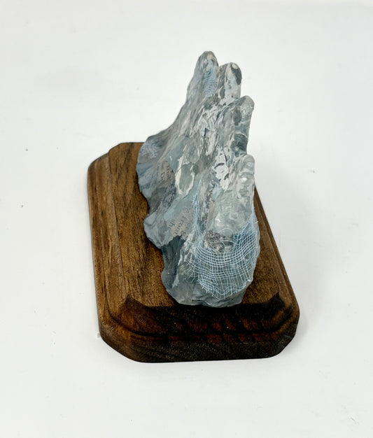 Nicole Tafoya: Tetons #2