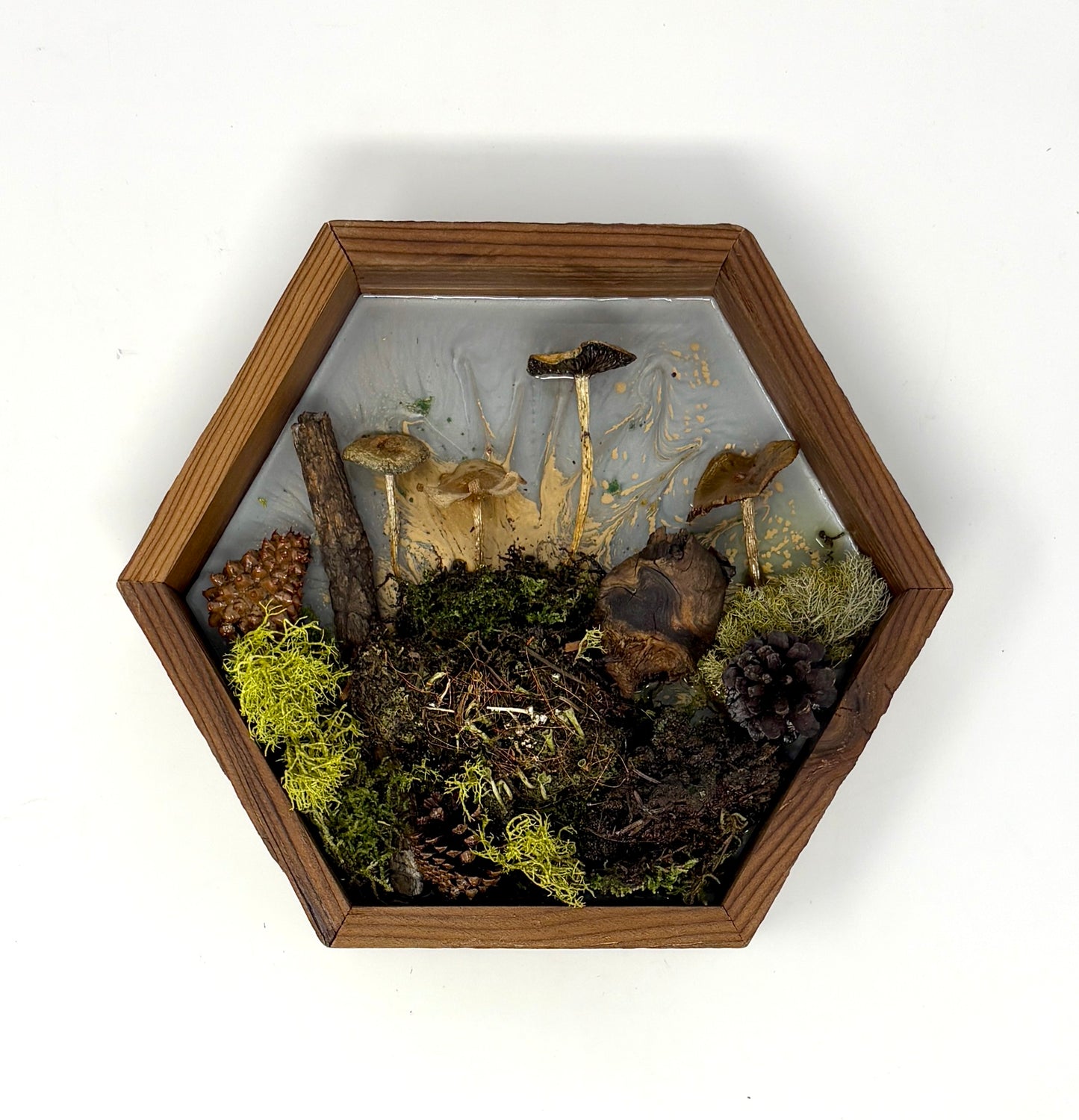 Julianna Lovasz: Wooden Frame Mushroom Piece