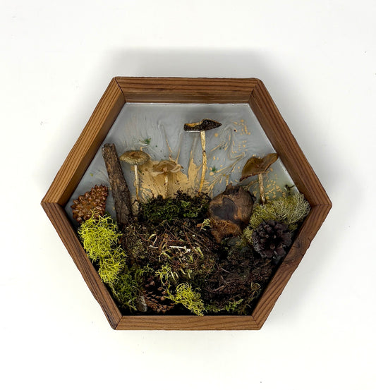 Julianna Lovasz: Wooden Frame Mushroom Piece