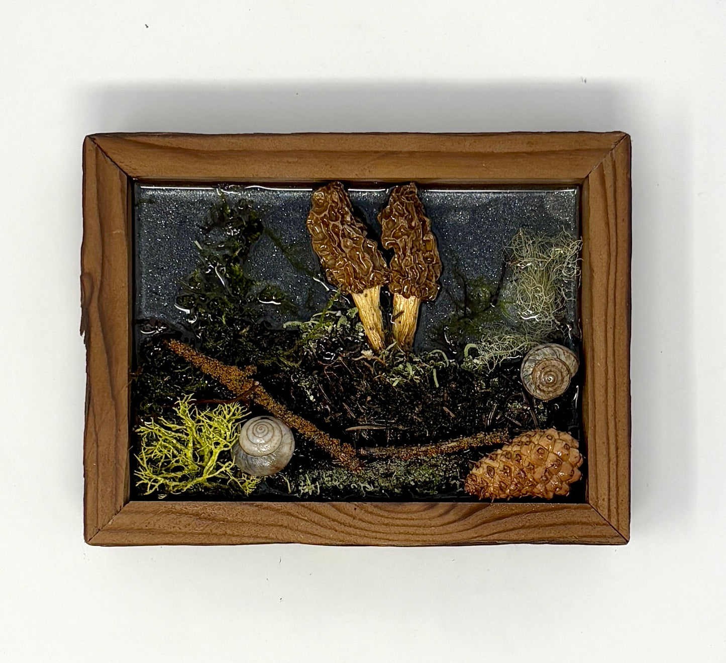 Julianna Lovasz: Morel Forest Floor (Small)