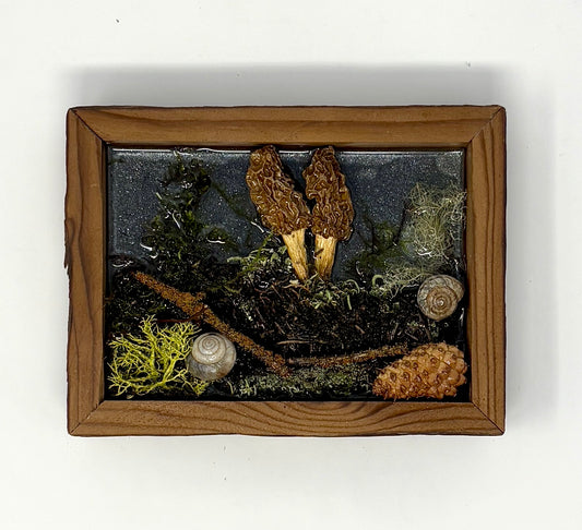 Julianna Lovasz: Morel Forest Floor (Small)