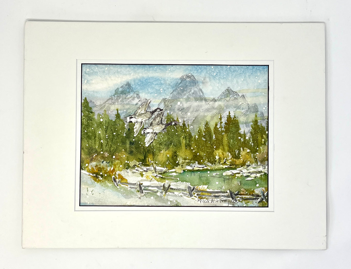 Fred Kingwill: Honking in the Tetons