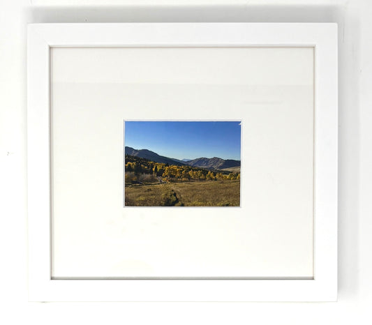 Meghan Bell Leidy: Willow Creek Collective