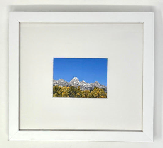 Meghan Bell Leidy: Moose Collective