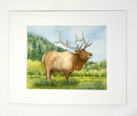 Joannie Epstein: Wapiti