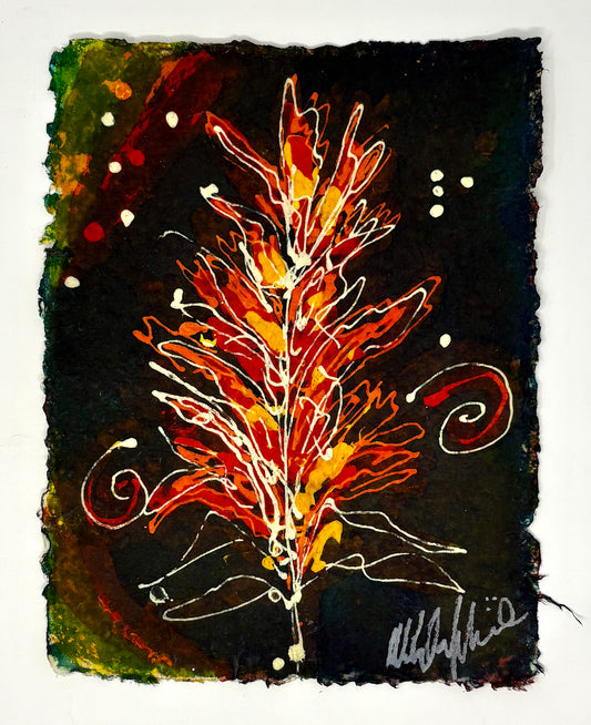 Abby Paffrath: Indian Paintbrush