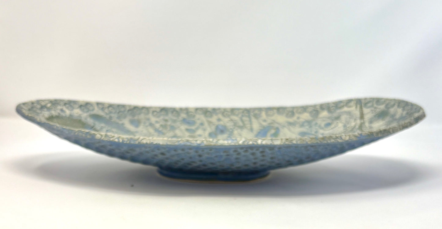 Valerie Seaberg: Large Elliptical Fossil Server
