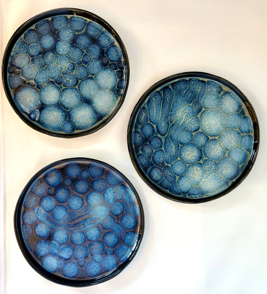 Valerie Seaberg: Frozen Pond Series: Plates