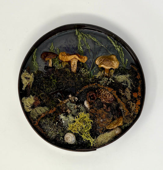 Julianna Lovasz: Steel Frame Circular Forest Floor