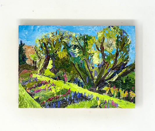 Richard Tambor: Porcupine Nursery