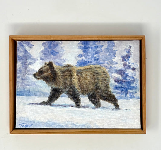 Andy Taylor: Snowy Stroll