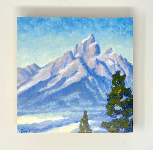 Andy Taylor: From Signal Mountain