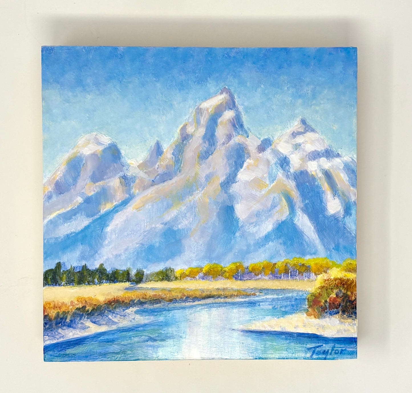 Andy Taylor: Near Turpin Meadow