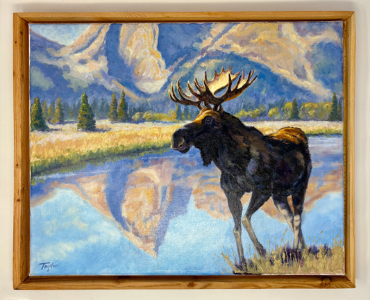 Andy Taylor: Golden Reflections