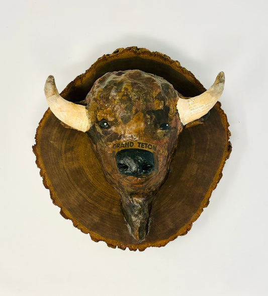 Nicole Tafoya: Grand Teton Bison Mount