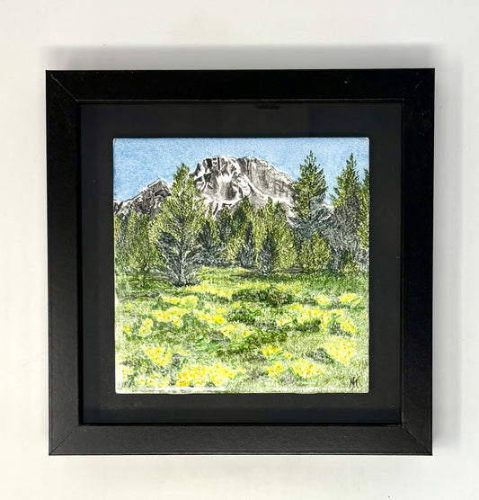 Sue Morriss: Mt Moran Spring