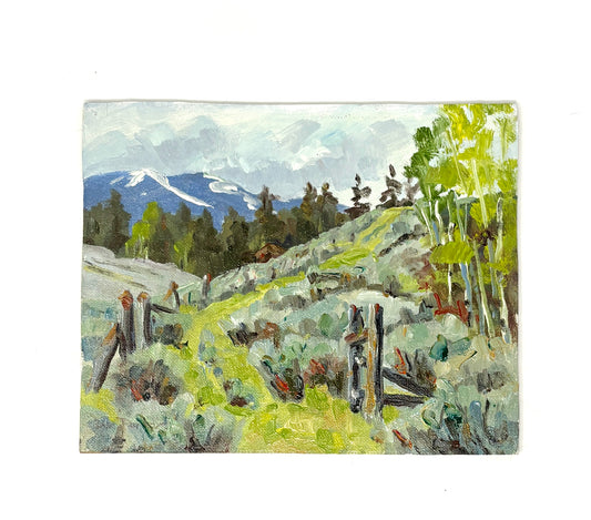 Dee Parker: Old Fences