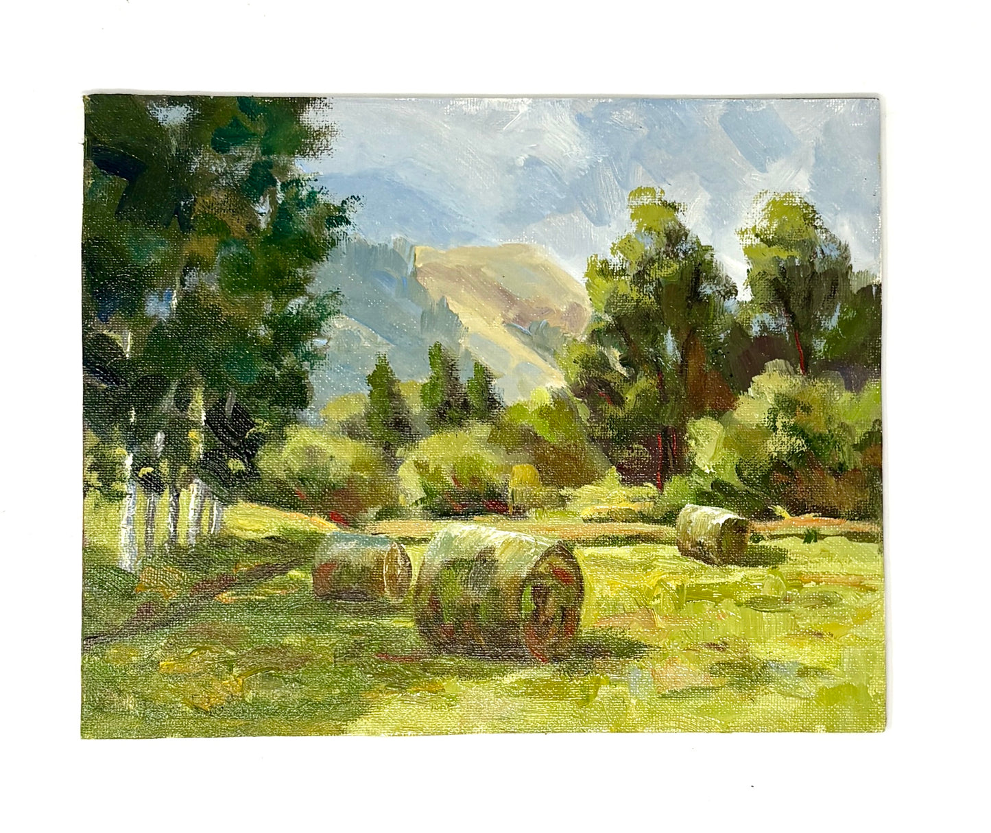 Dee Parker: Baled Donuts