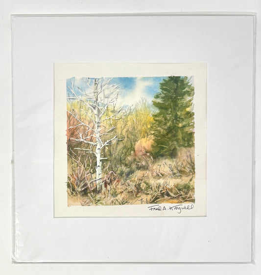 Fred Kingwill: Lone Aspen