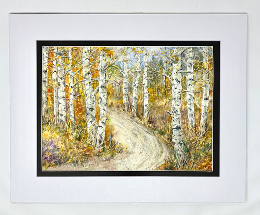 Fred Kingwill: Aspen Up The Gros Ventre