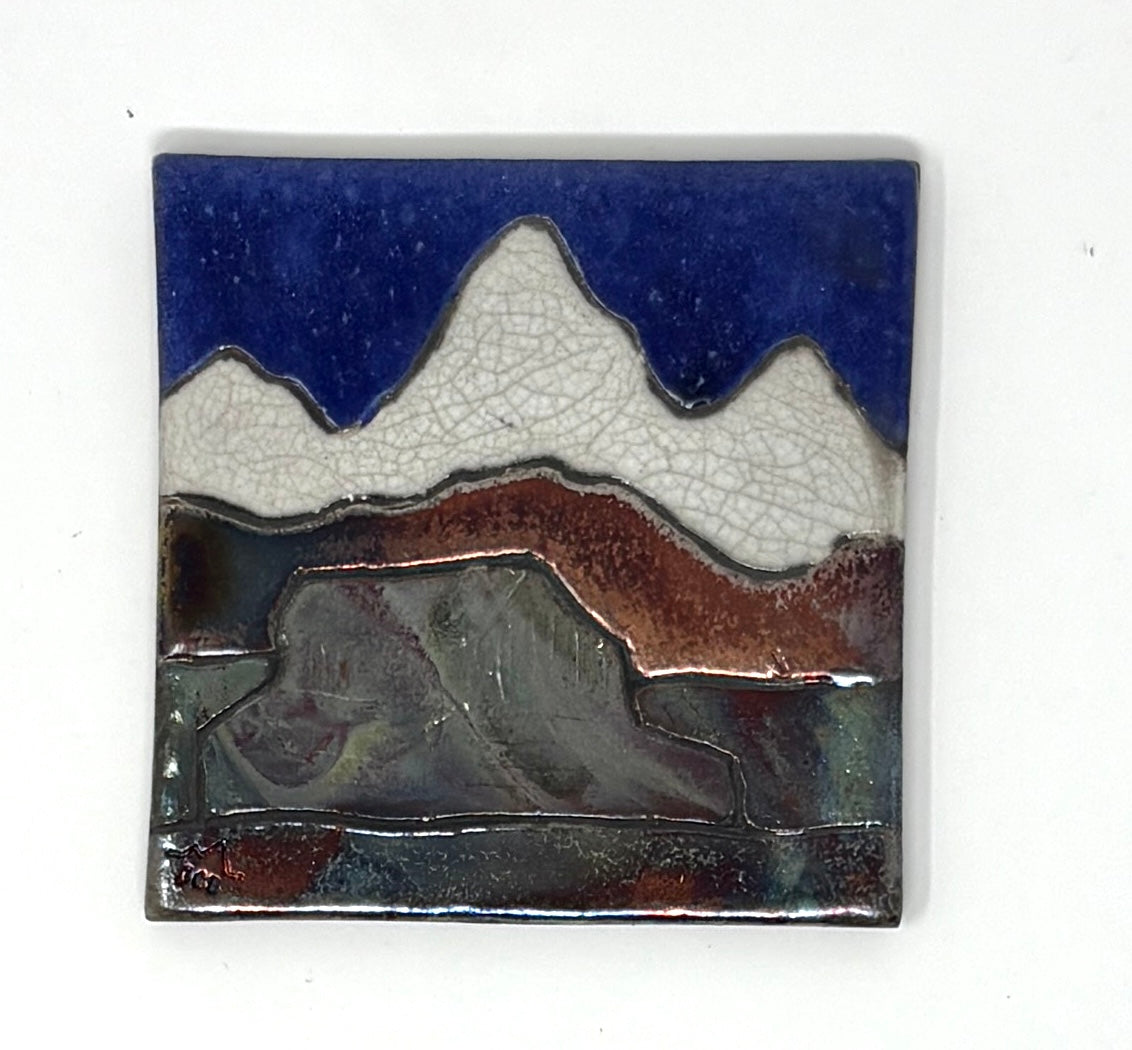 Emily Belsham Rakuscapes: Square Edge Single Coasters