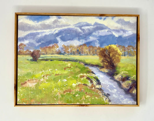 Andy Taylor: Sleeping Indian - Spring Thaw