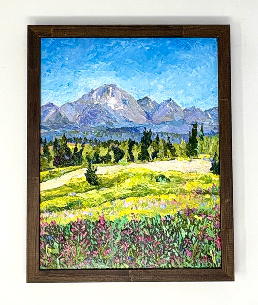 Richard Tambor: Togwotee Overlook