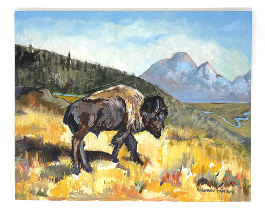 Richard Tambor: Teton Bison