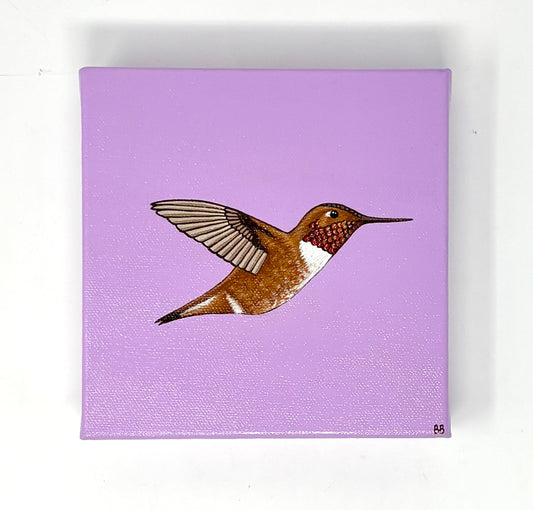 Becca Bouley: Lilac Rufous