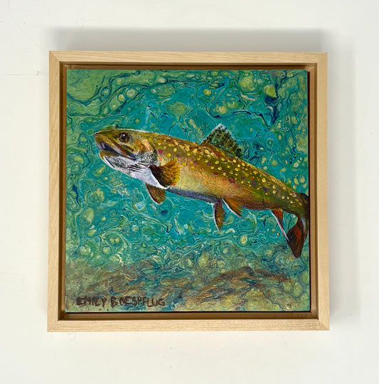 Emily Boespflug: Teton Trout