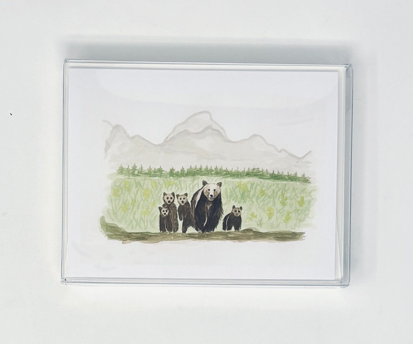 Cottage Garden Studio: Wild West Notecards