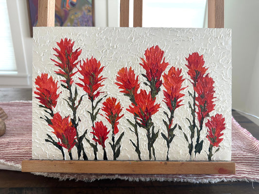 Lxi Weber: Indian Paintbrush