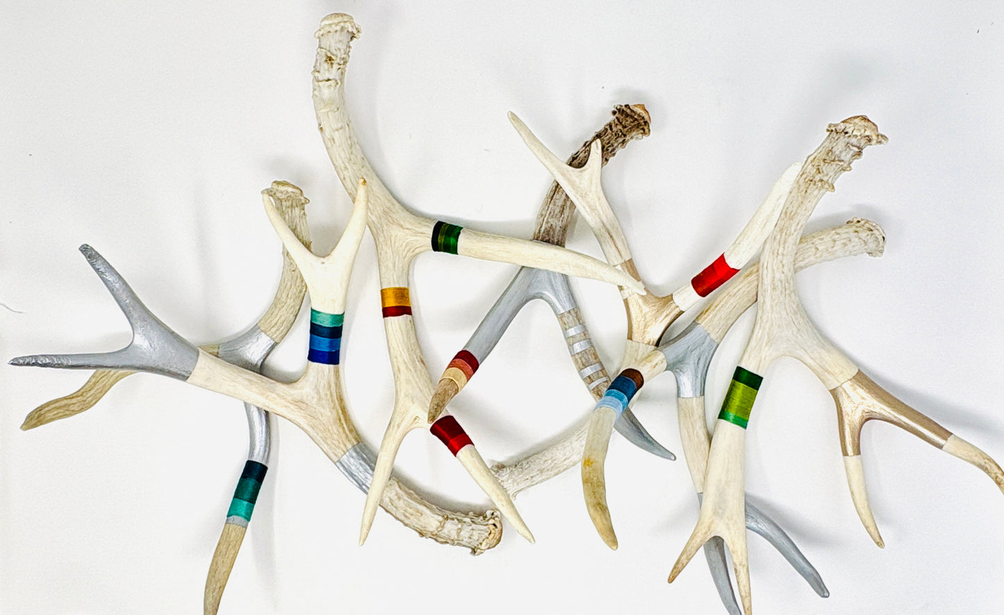 Kevin Rauch-Lynch: Medium Mule Deer Antlers