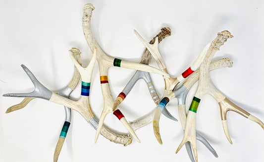 Kevin Rauch-Lynch: Medium Mule Deer Antlers