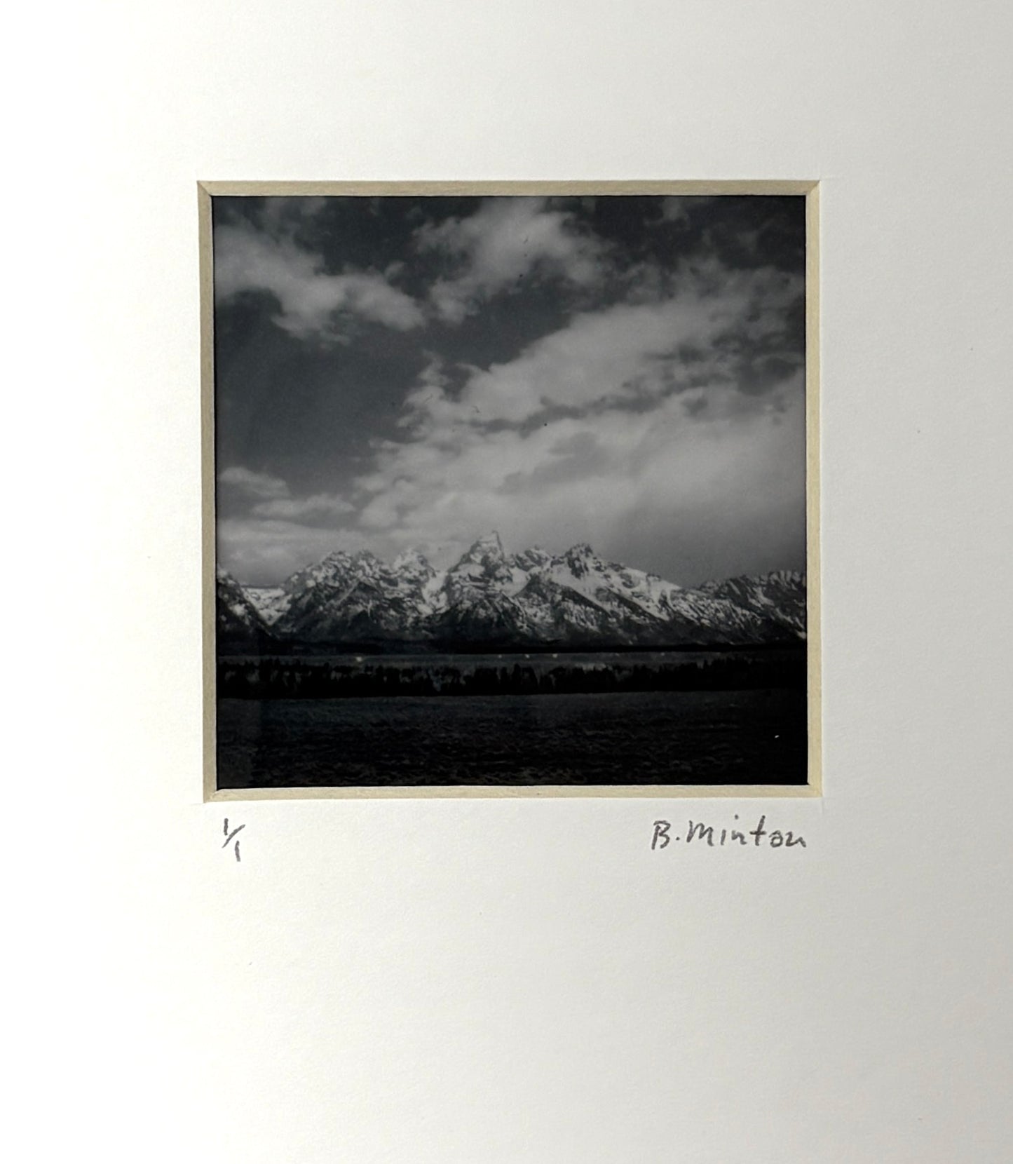 Bronwyn Minton: Teton Polaroid