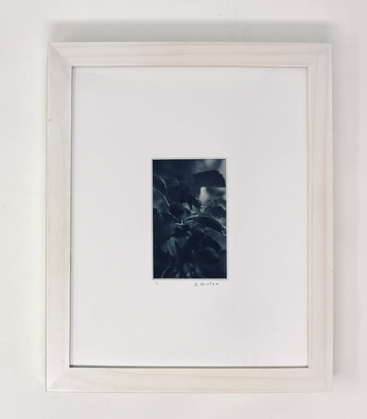 Bronwyn Minton: Flower Polaroid