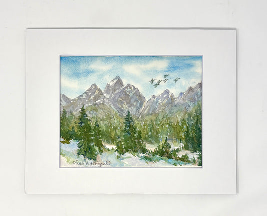 Fred Kingwill: Ducks + Tetons